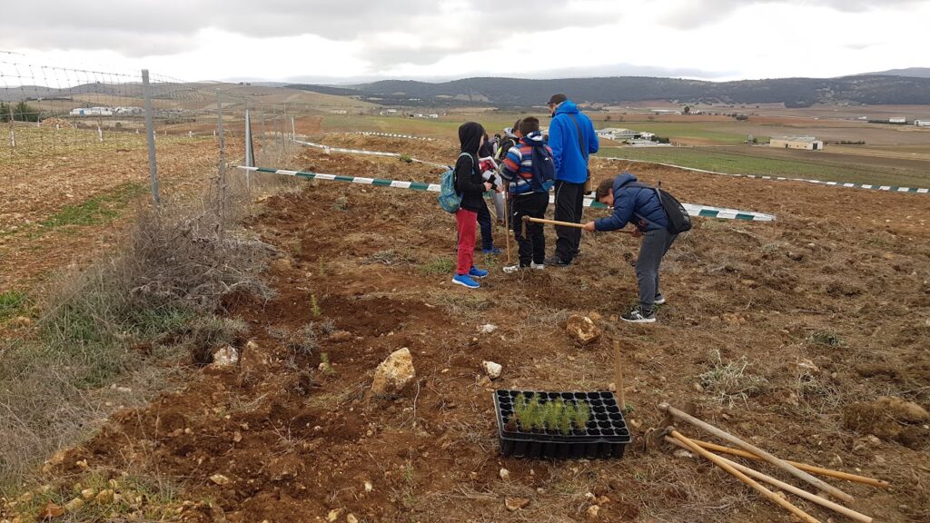 plantación con niños naturaleza