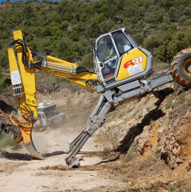 Trabajos forestales y tratamientos selvícolas