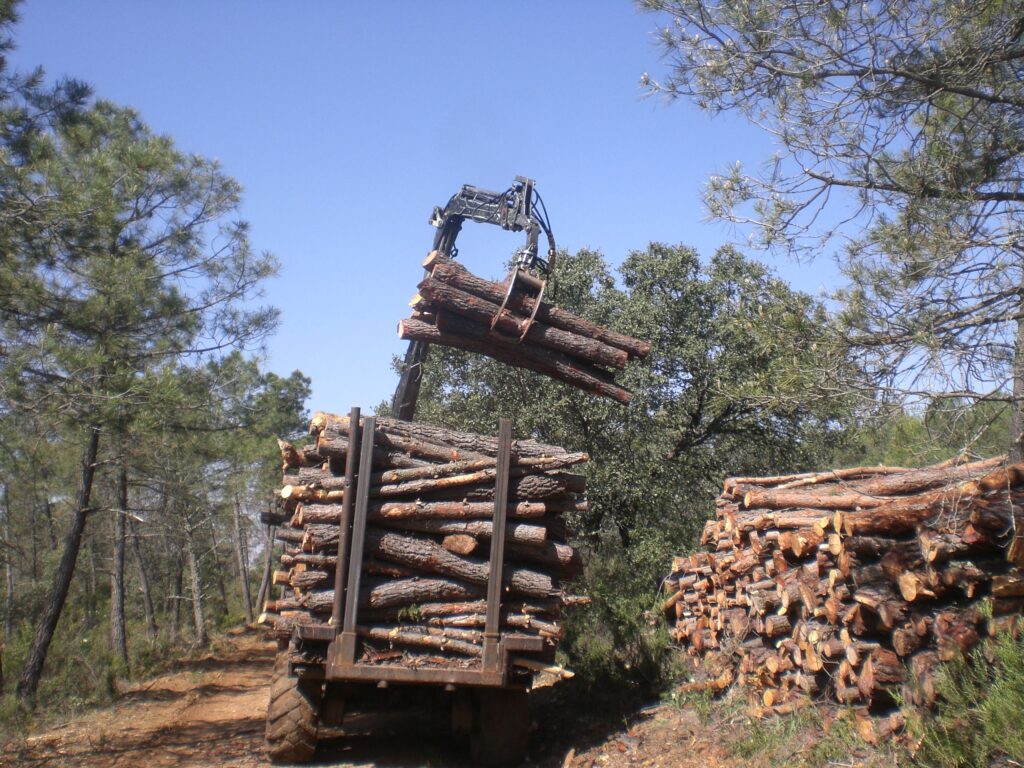 recolección de troncos de madera