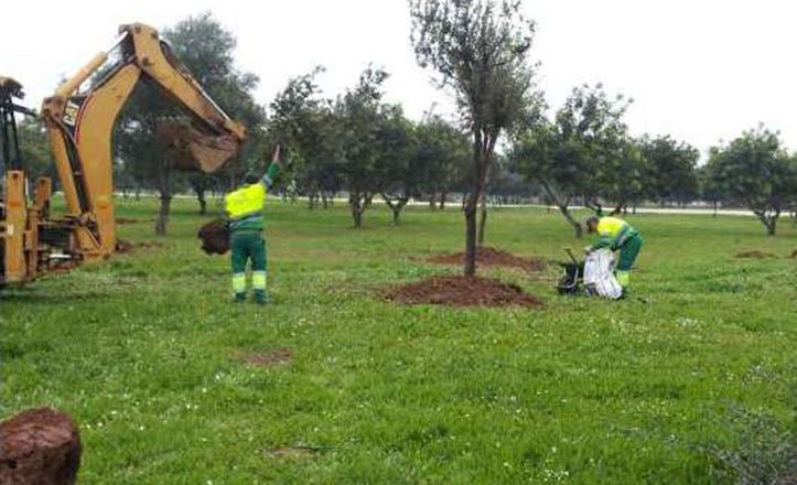 trabajadores en un parque